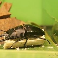 2011.03.24-205.JPG