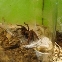 2011.03.24-206.JPG