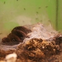 2011.03.24-207.JPG