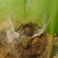 2011.03.24-208.JPG