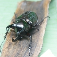 2011.03.24-209.JPG