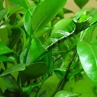 2011.03.24-210.JPG
