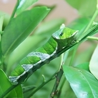 2011.03.24-211.JPG