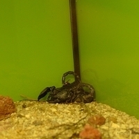 2011.03.24-213.JPG