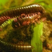 2011.03.24-214.JPG