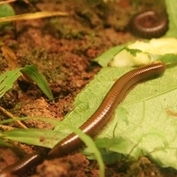 2011.03.24-215.JPG