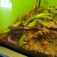 2011.03.24-216.JPG