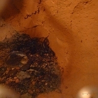 2011.03.24-217.JPG