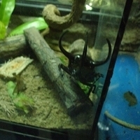 2011.03.24-218.JPG