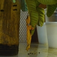 2011.03.24-220.JPG