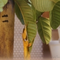 2011.03.24-221.JPG