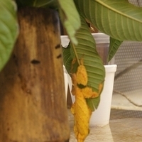 2011.03.24-222.JPG