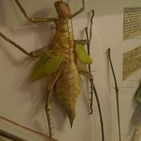 2011.03.24-223.JPG