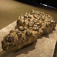 2011.03.24-224.JPG