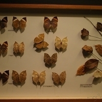 2011.03.24-225.JPG