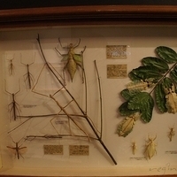 2011.03.24-226.JPG