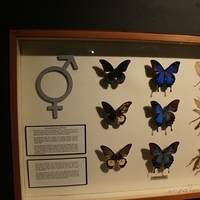 2011.03.24-227.JPG