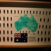 2011.03.24-228.JPG