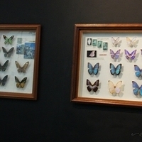 2011.03.24-229.JPG