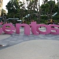 2011.03.24-305.JPG