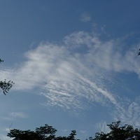 2011.03.24-338.JPG