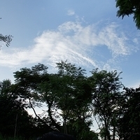 2011.03.24-339.JPG