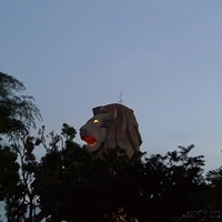 2011.03.24-358.JPG