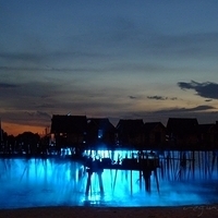 2011.03.24-387.JPG