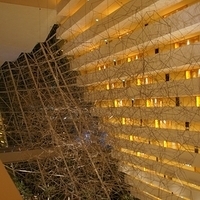 2011.03.24-600.JPG