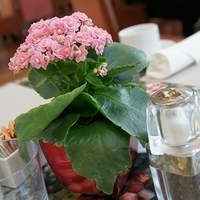 2011.03.25-007.JPG
