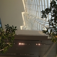 2011.03.25-009.JPG