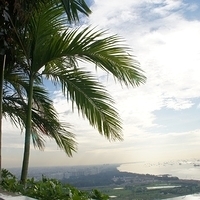 2011.03.25-041.JPG