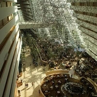 2011.03.25-067.JPG
