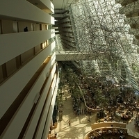 2011.03.25-068.JPG