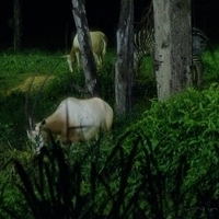 2011.03.25-298.JPG