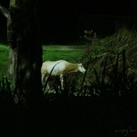 2011.03.25-299.JPG