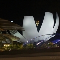 2011.03.25-307.JPG