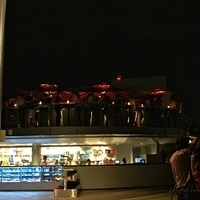 2011.03.25-321.JPG