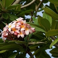 2011.03.26-007.JPG