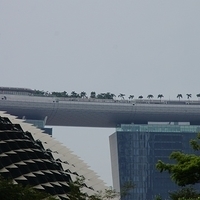 2011.03.26-010.JPG