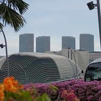 2011.03.26-038.JPG