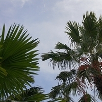 2011.03.26-042.JPG