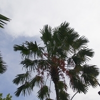 2011.03.26-043.JPG