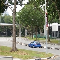 2011.03.26-082.JPG