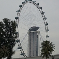 2011.03.26-085.JPG