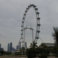 2011.03.26-090.JPG