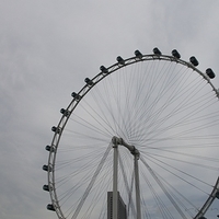 2011.03.26-091.JPG