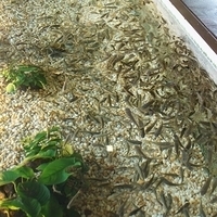 2011.03.26-116.JPG