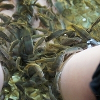 2011.03.26-125.JPG