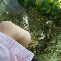 2011.03.26-126.JPG